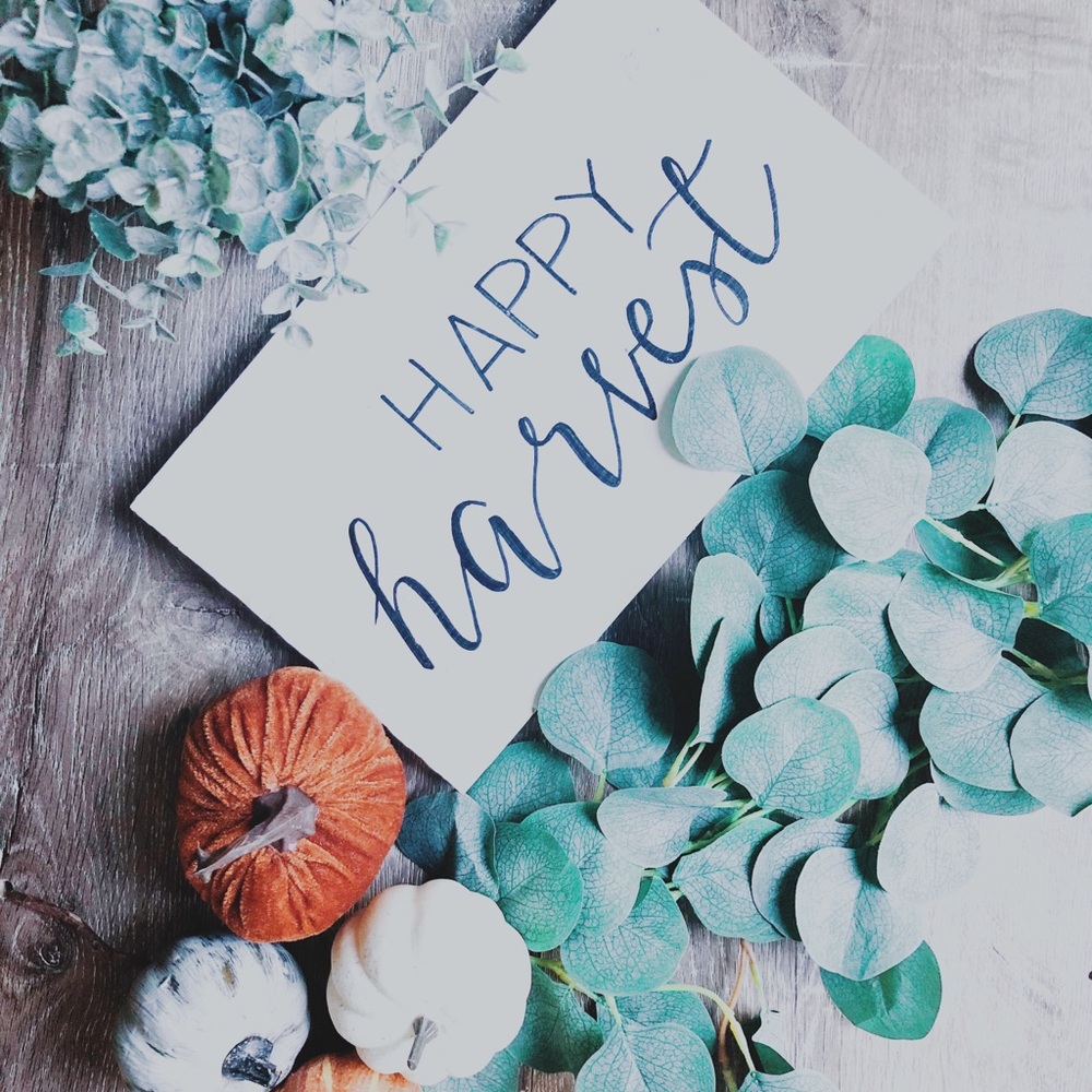 Apply harvest sign/fall sign/fall decor